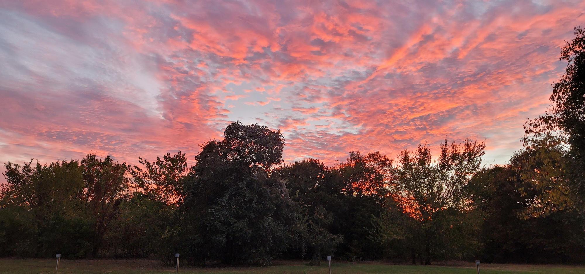 Cotton candy colored sunset over the park